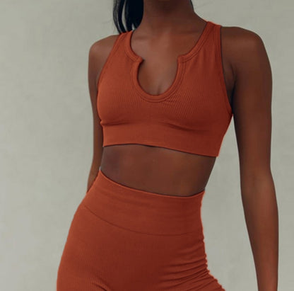 Two-piece Set Ins Seamless Knitting Sexy Gym Sport Workout Running Sports Short Bra Yoga Suit Tracksuit U-neck Fitness